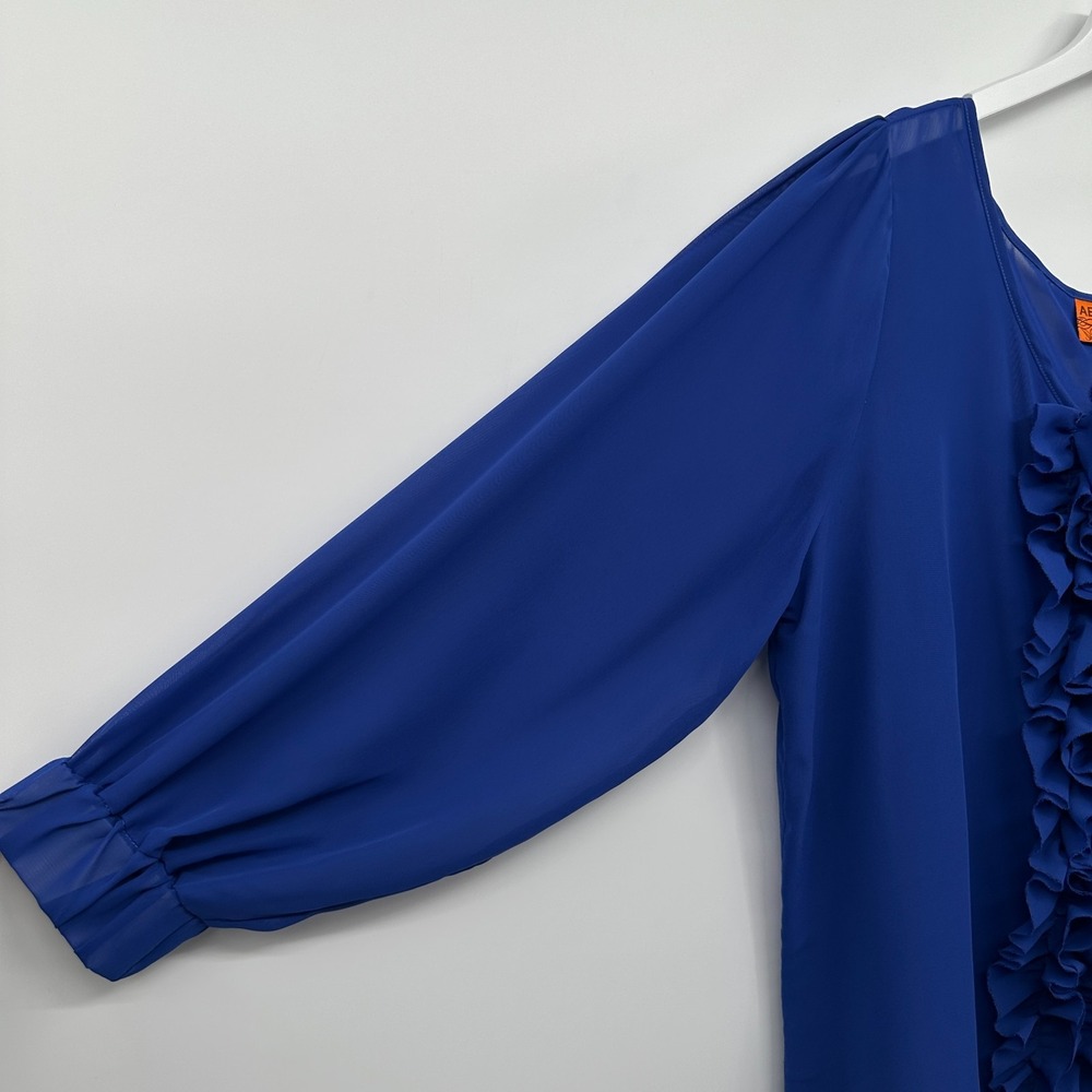 Abby Z Top Shirt Blouse Size 2X Sheer Ruffle Embroidered Coquette Elegant Glam - Picture 7 of 14